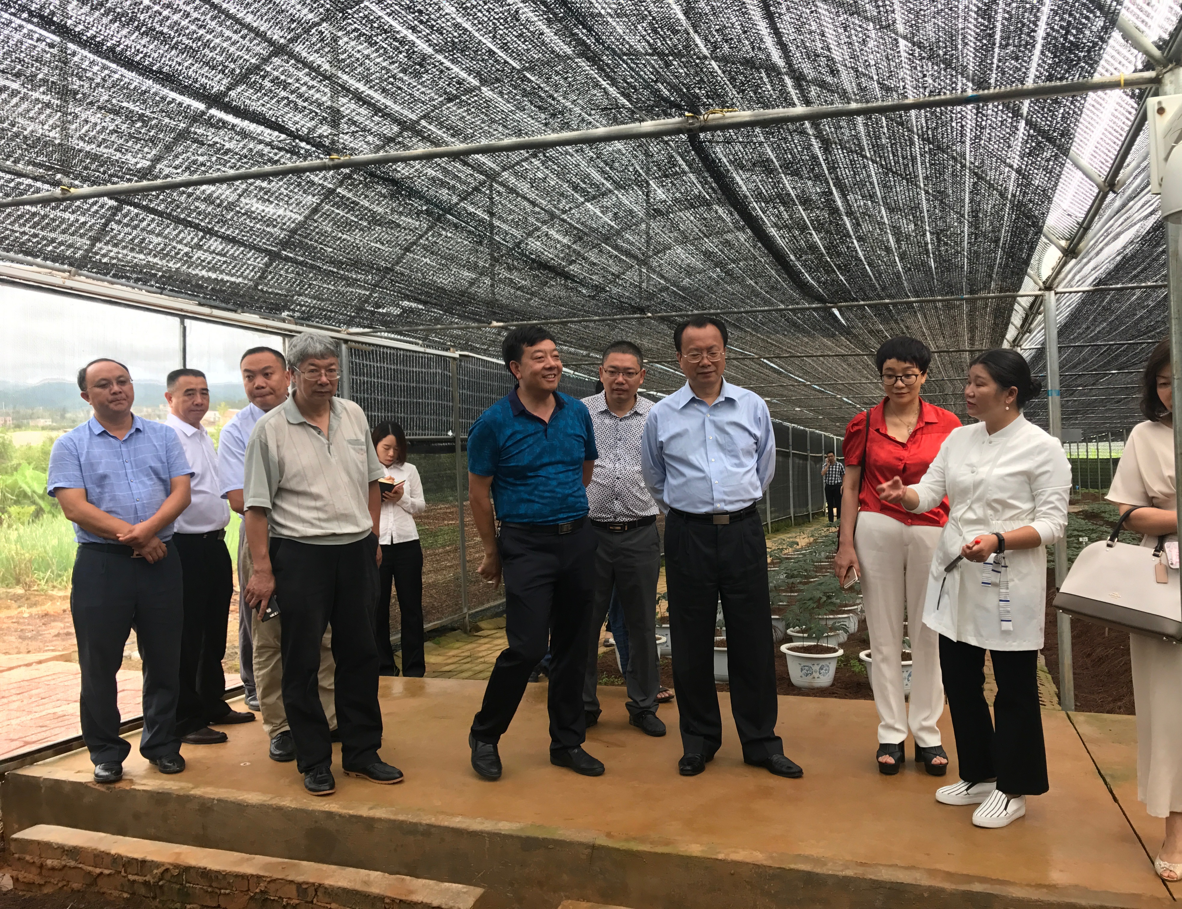 重慶市人大常委會副主任杜黎明調研組一行來苗鄉(xiāng)三七科技示范園參觀考察