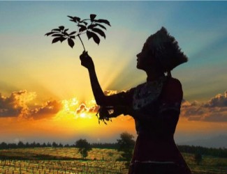 吃三七要在什么年齡，又有什么好處？?