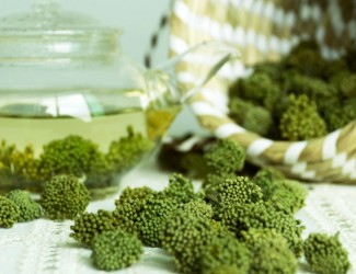 比慈禧吃的還多點(diǎn)料——三七花炒豆芽