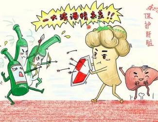 春季養(yǎng)肝正當時，三七保肝有奇效