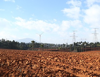 三七土壤危機何解？官會林教授開出“生態(tài)藥方”