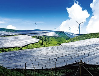 董林林博士如何看待苗鄉(xiāng)全產(chǎn)業(yè)鏈品控管理體系？